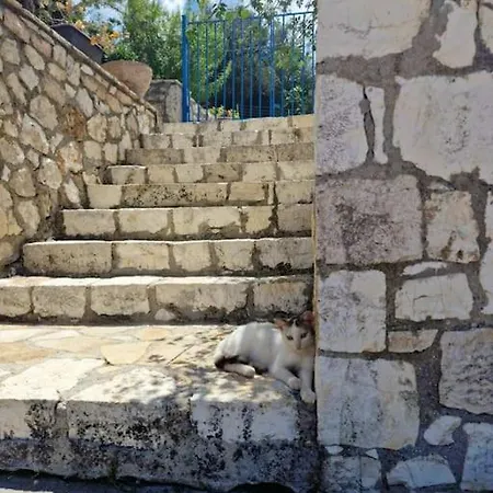 Mountain Breeze Holiday home Makriotika