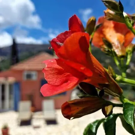 Mountain Breeze * Makriotika