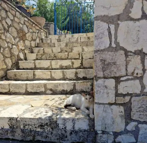 Mountain Breeze Nyaraló Makriótika